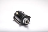 RICKS Starter Motor